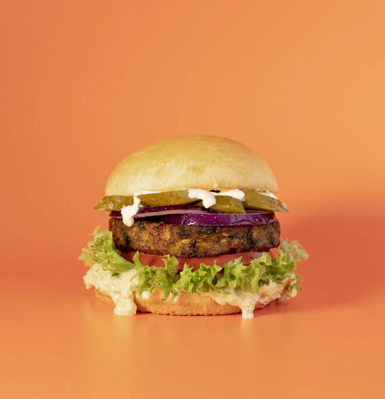 IceBurg Veg Burger